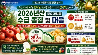 농식품부, 사과·배 작황 양호… 조생종 소매가 28.6% 하락