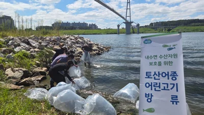 경기도, '하천 청소부' 등 토종 59만 마리 풀었다… 10개 시·군 방류 완료