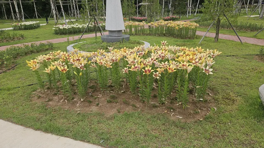 이천시청 제공