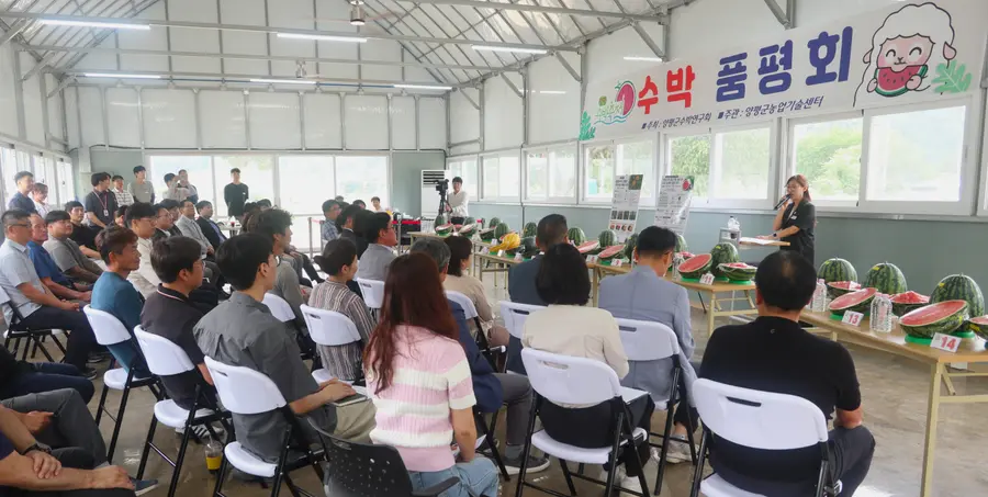 유관기관, 농업인 등이 참석한 가운데 수박품평회가 개최되고 있다 = 경기도청 제공