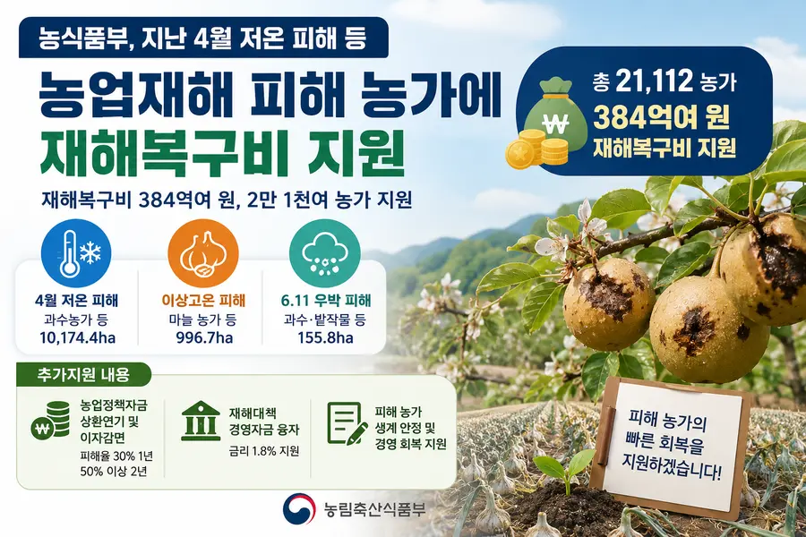 농림축산식품부(장관 송미령, 이하 농식품부)는 지난 4월 이상 저온과 이상고온 및 6월 11일 우박 피해를 입은 농업인들에게 재해복구비 및 금융 지원을 실시할 계획이라고 밝혔다. = 농림축산식품부 제공