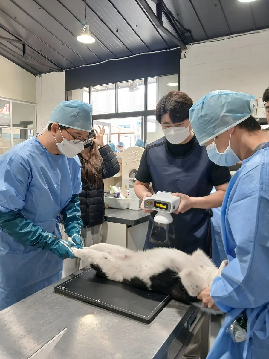경기도청 제공
